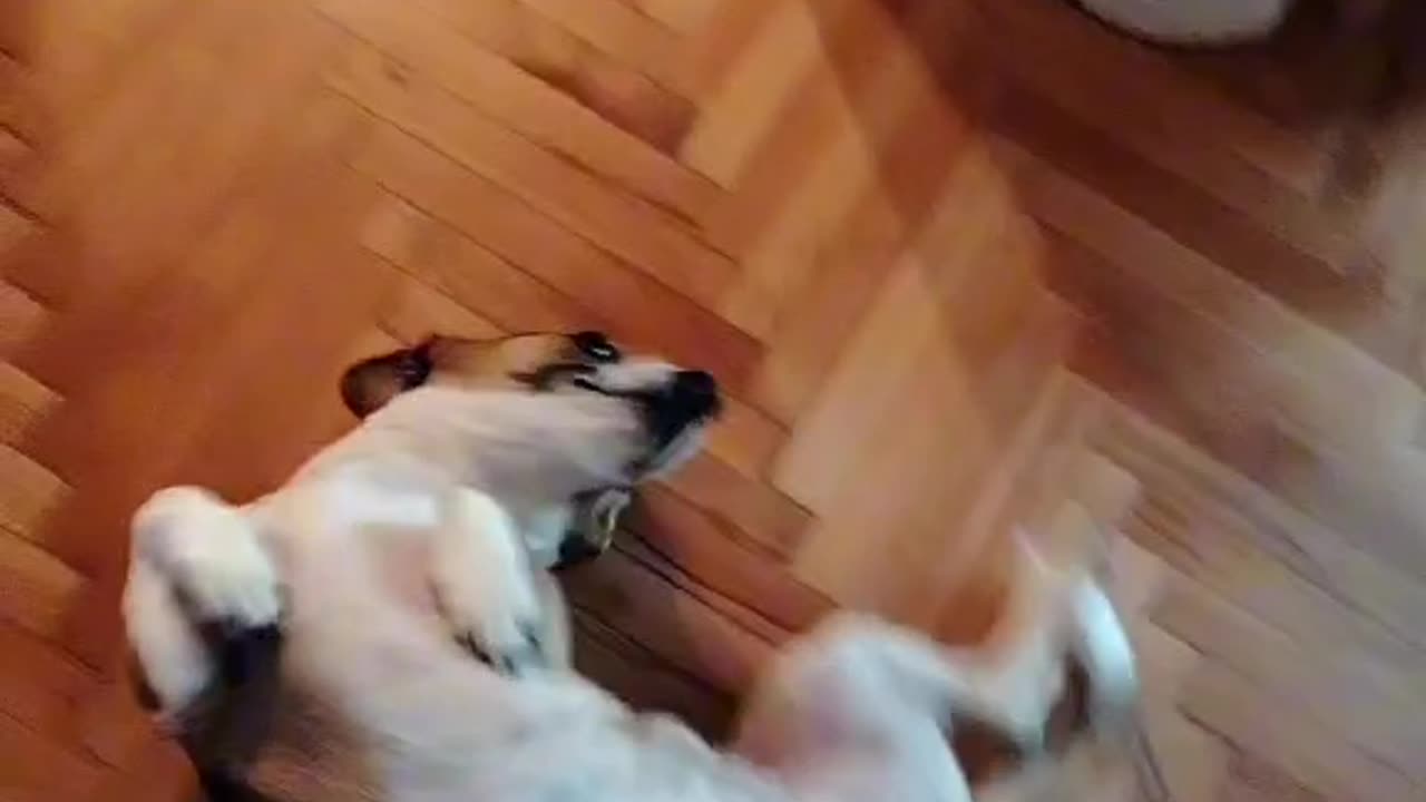 She Doesn't Want To Go To The Bathroom