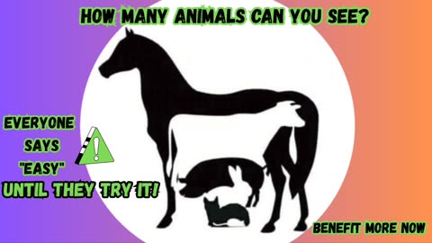 How many animals can you see? (P.1) 🧐