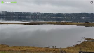 Fall day of gray skies