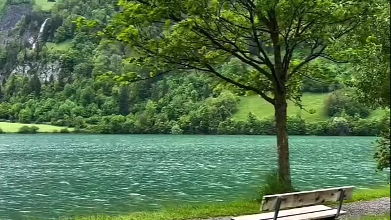 اللهم أنت البر الرحيم - الشيخ صالح بن محمد السويح