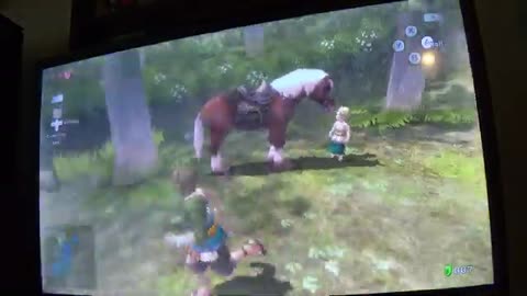 The Legend of TacoJoe-Ksmantle Plays Some Twilight Princess HD Part 1
