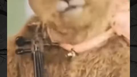 😱👻 The Scariest UFO Sighting Ever! | TheHauntingHour