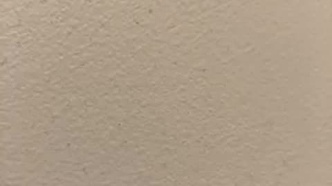 My Christmas Radio TV