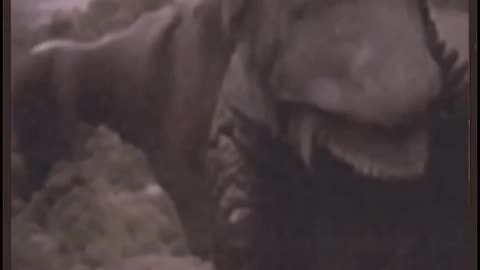 Trending: What Is This Beast #ai #runwaygen2 #midjourney #beast #creepy #monster