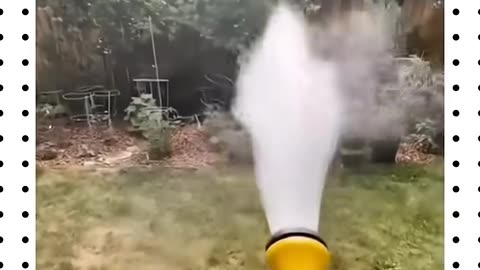 Dog funny video