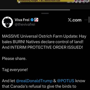 Killing of 400 ostriches in Canada?
