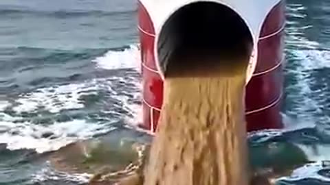 Viral: Cruise ships dump sewage into the ocean?
