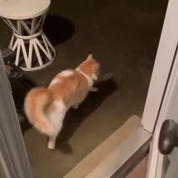 I want the best of both worlds 🤣