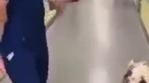 A veterinarian tries to cheer up a small goat