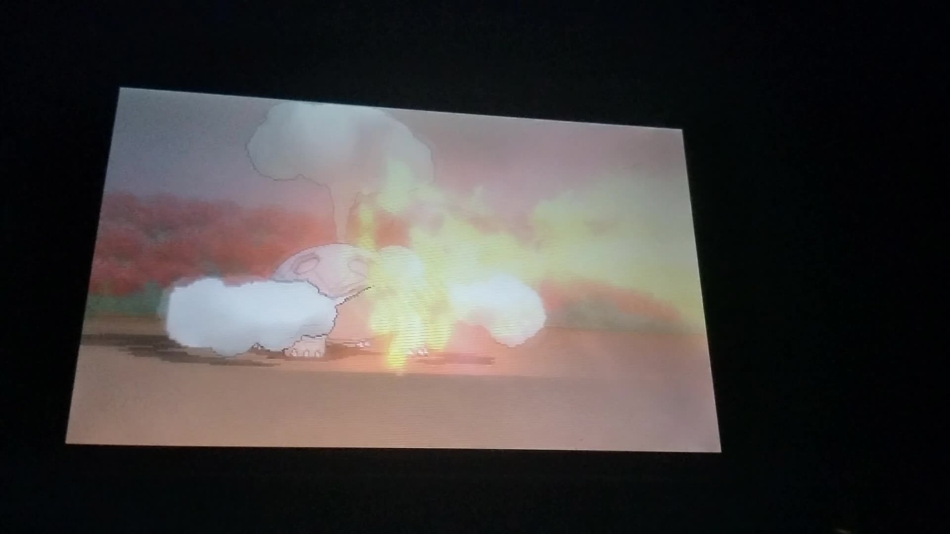 Pokemon Omega Ruby:Victory Road Battle Vs. Wally