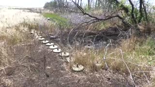 Russian armed forces work to clear landmines in Donetsk region