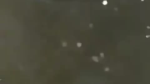 He's filming a pelican when he heard splashing next to him