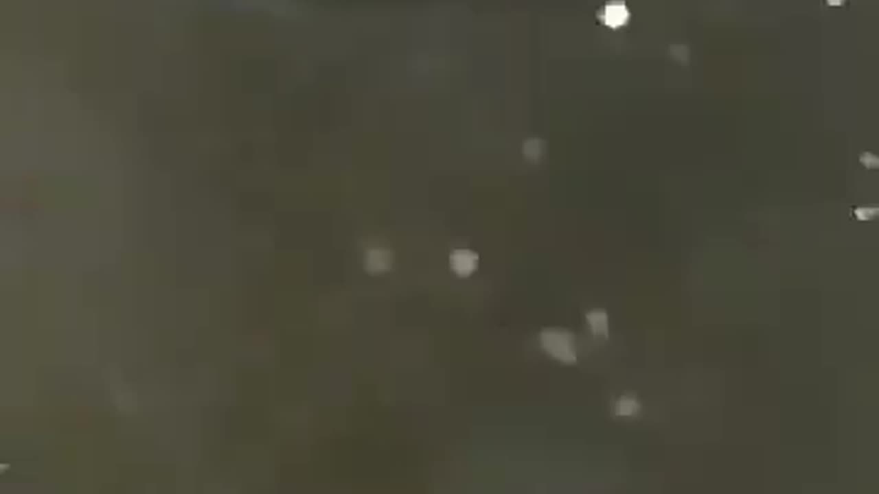 He's filming a pelican when he heard splashing next to him