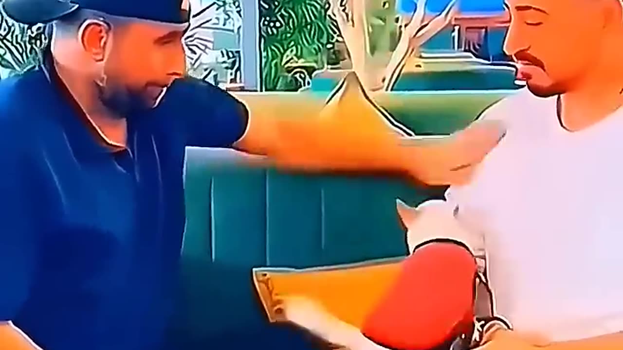 #Funnyanimals