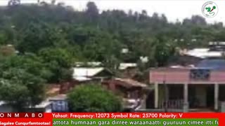 Oduu Ganama ONM-ABO Sadaasa 15-2025 itti dhiyaadhaa!