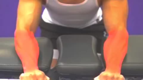 Forearm Exercise Variation (KNOW THE DIFFERENCE!)