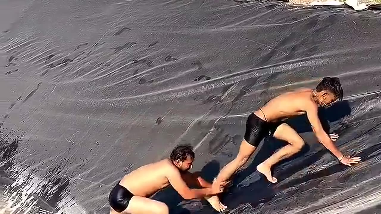 😆 Everyday People Doing Dumb Stuff
