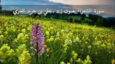 سورة الشعراء - علي جريد