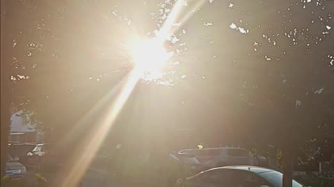 Sunset video