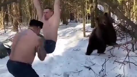 😂🐻 Bears in Russia: The Wildest Behavior! | FunFM