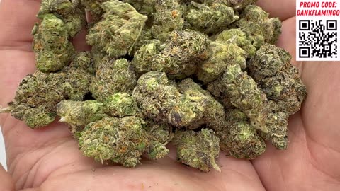 Which Lit Farms Strain is the Best? Dankin with the Flamingos!!