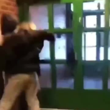 Black Savage Beats On 2 White Girls Because He Has 70 IQ