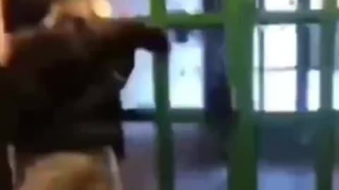 Black Savage Beats On 2 White Girls Because He Has 70 IQ