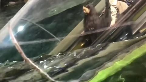 underwater escalator