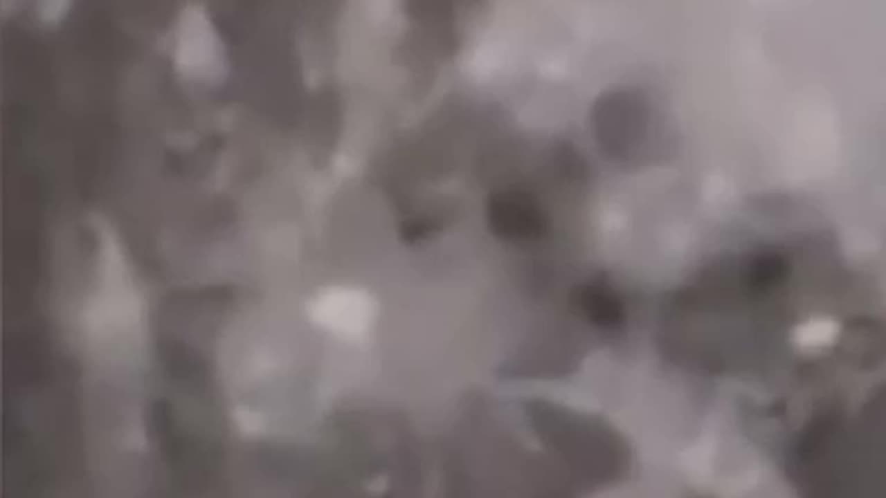 Moon reflection