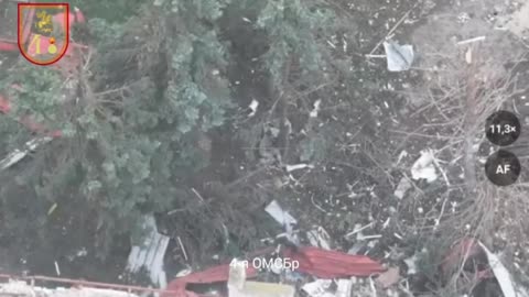 Ukraine war related/combat footage 11/24/25