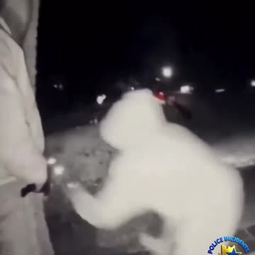 DeKalb County Woman Killed After Confronting Burglary Suspects Outside Her Home