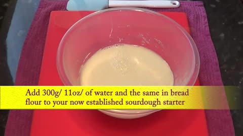 Beginner’s Guide to Creating a Sourdough Starter from Scratch | Part 1