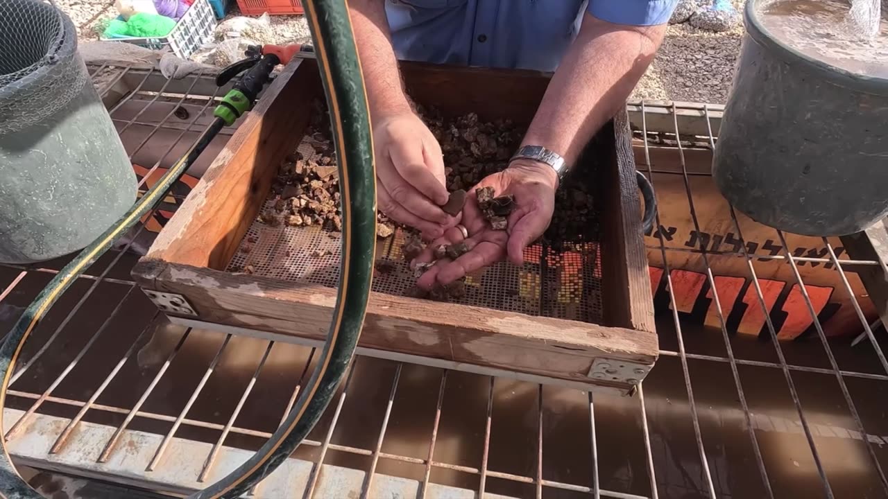 Dig the Bible at Shiloh!