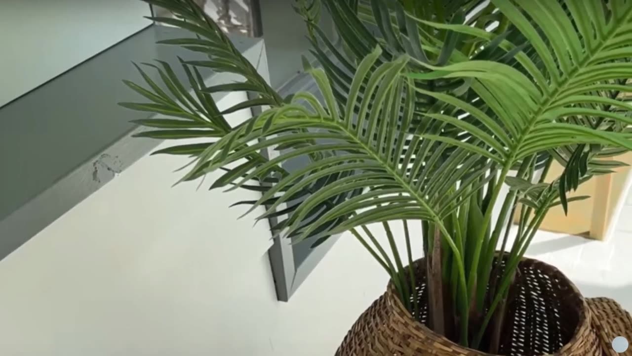 Web Design Hire in New Delhi