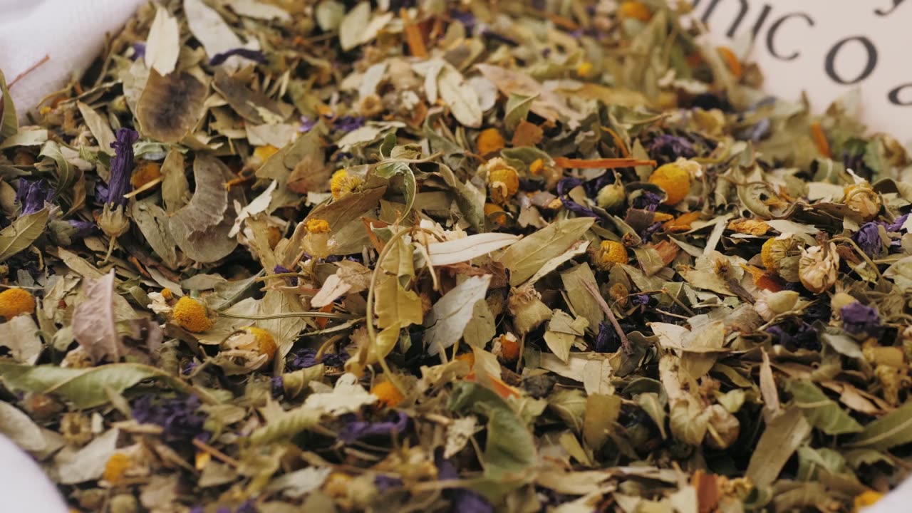 Episode 22- Boneset: The Bitter Cure That Beat Break-Bone Fever