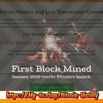 Bitcoin History and Live Transaction Tracker