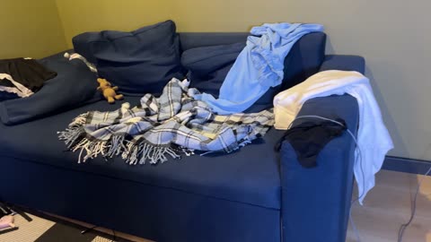 Transparent Cleaning Sofa with Lily - Deep Clean & Fresh Results