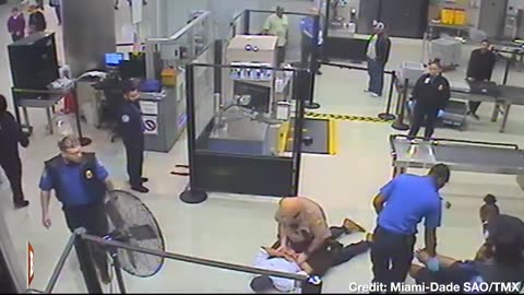 Canadian Traveler Punches Miami TSA Agents, Gets Tackled
