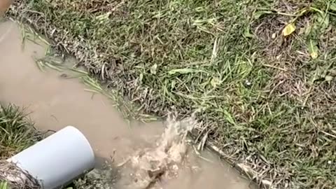 fishing in the ditch