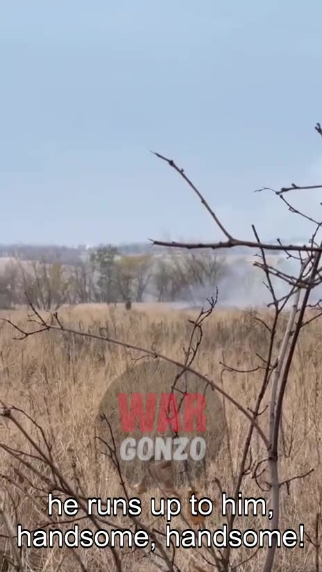 🇷🇺 🏹 🎬 A Russian soldier survived hit by an enemy FPV drone