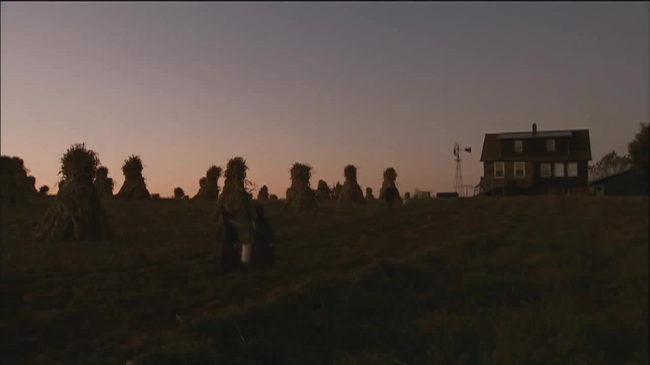The Harvest