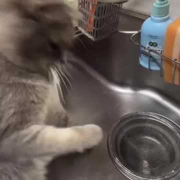 Trying to fix a kitchen faucet leak