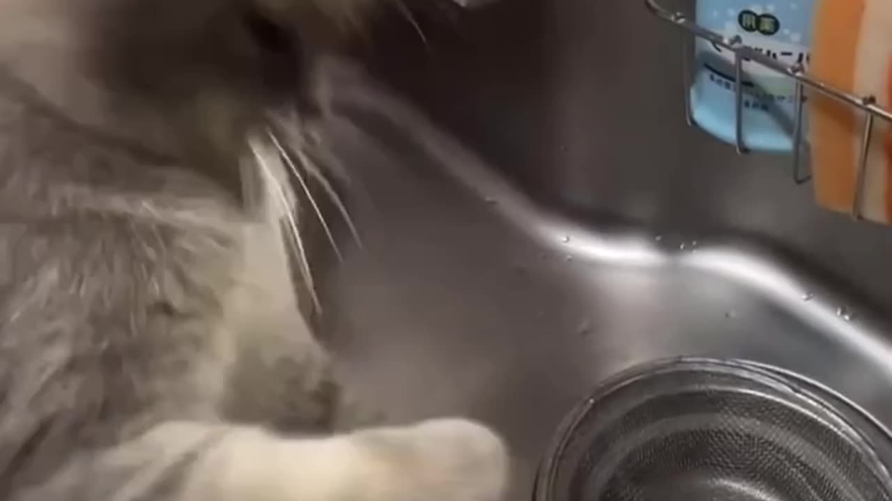 Trying to fix a kitchen faucet leak