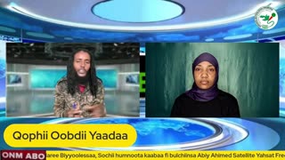 Qophii Oobdii Yaadaa ONM-ABO Caamsaa 29-2025 itti dhiyaadhaa!