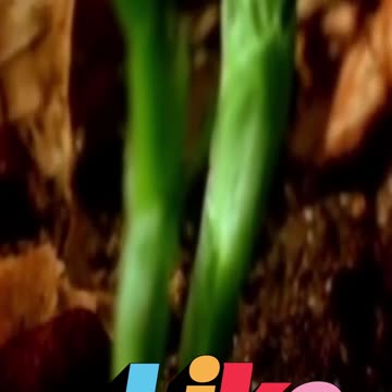 😊 70 TU MENTE ES TIERRA FÉRTIL: LO QUE SIEMBRAS… 😊