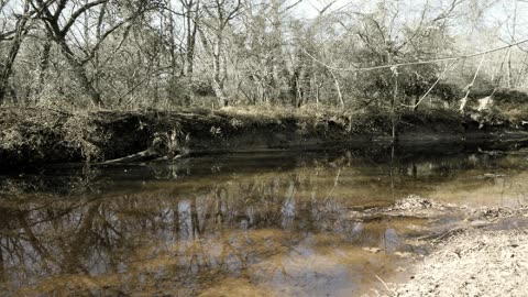 3M TV 🌿 Relax Chill Meditate Sleep | Water Flow, Birds Chirping Sweetly | Spring Nature 3 Hrs