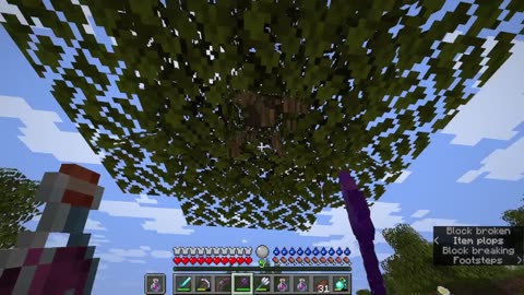 Minecraft Tough as Nails 6