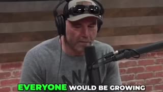 Joe Salatin insight on regenerative farming self sufficiency food freedom