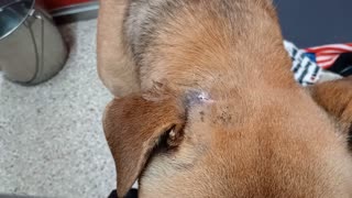 VID_20251123_162645194