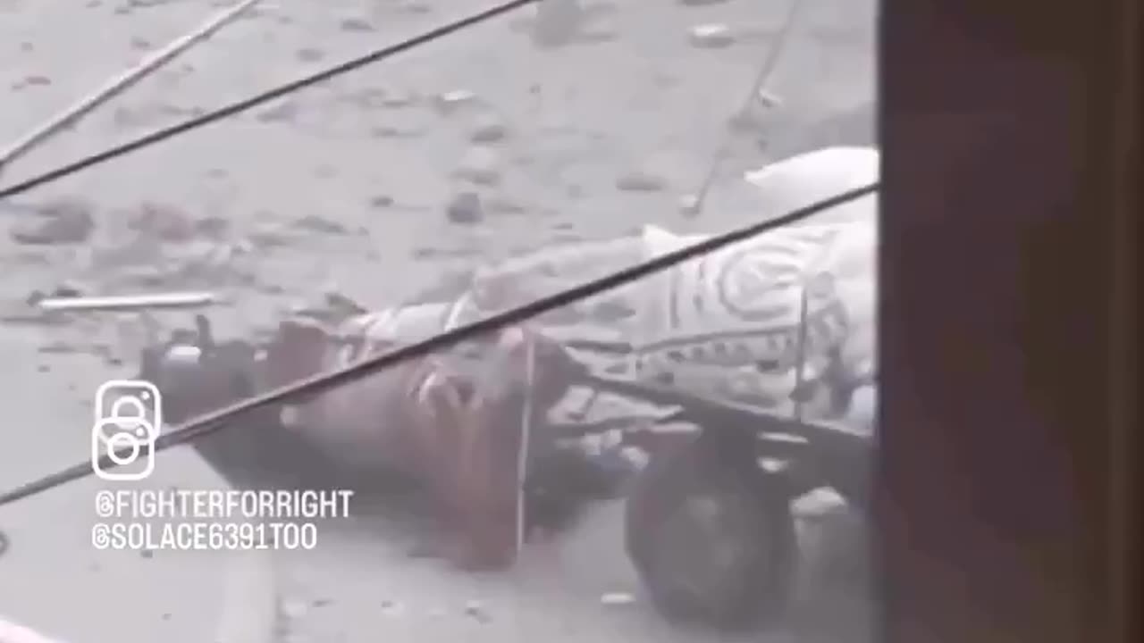 🇵🇸🇮🇱 I soldati israeliani a Gaza sparano ad un cavallo che trasporta farina....